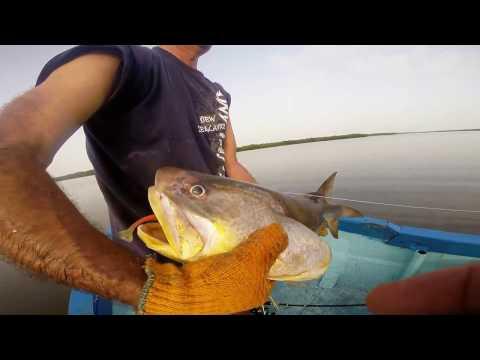 Embedded thumbnail for la pêche au sénégal 